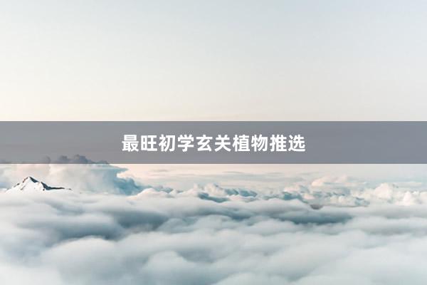 最旺初学玄关植物推选