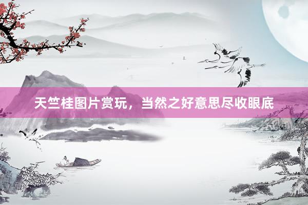 天竺桂图片赏玩，当然之好意思尽收眼底