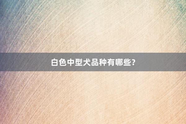 白色中型犬品种有哪些？