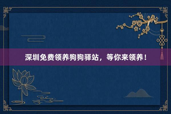 深圳免费领养狗狗驿站，等你来领养！