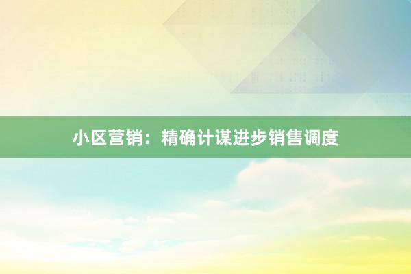 小区营销：精确计谋进步销售调度